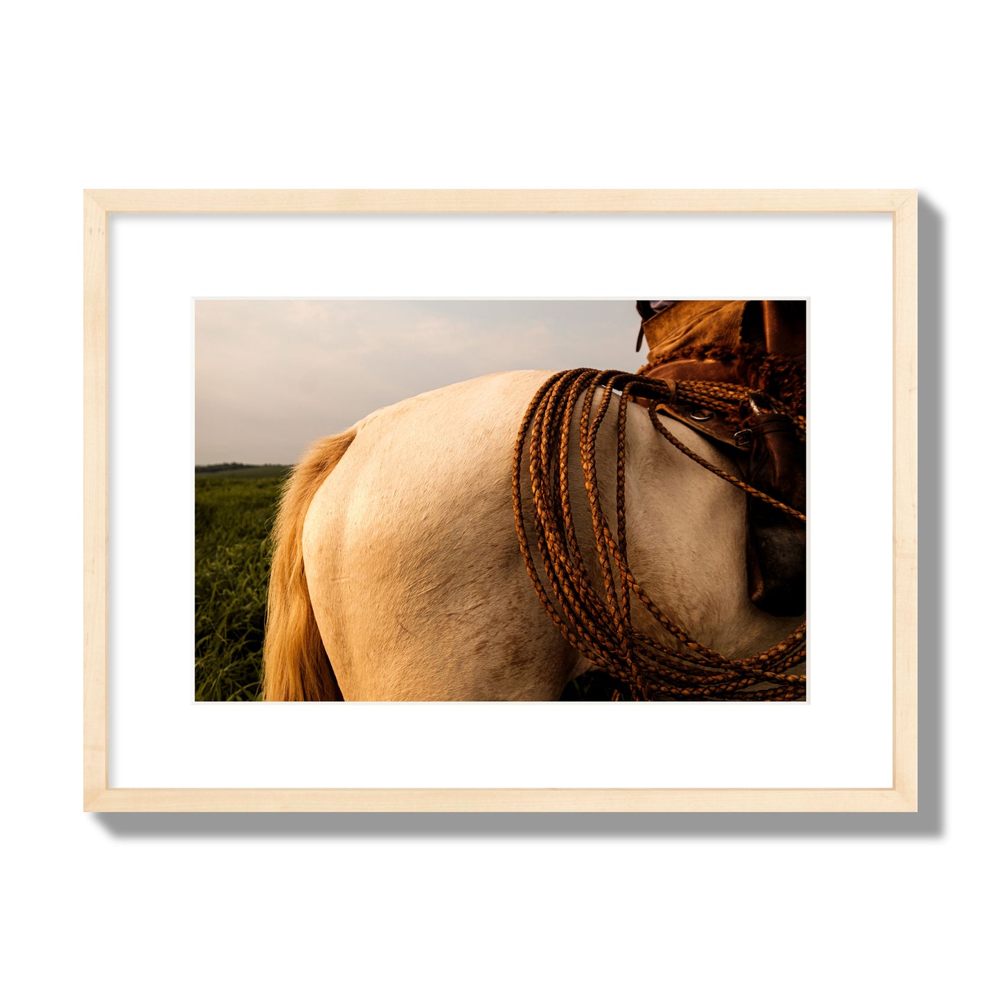 Fine art photo of a cowboy's lasso coiled across a horse's back. Archival pigment print, medium size, natural wood frame.