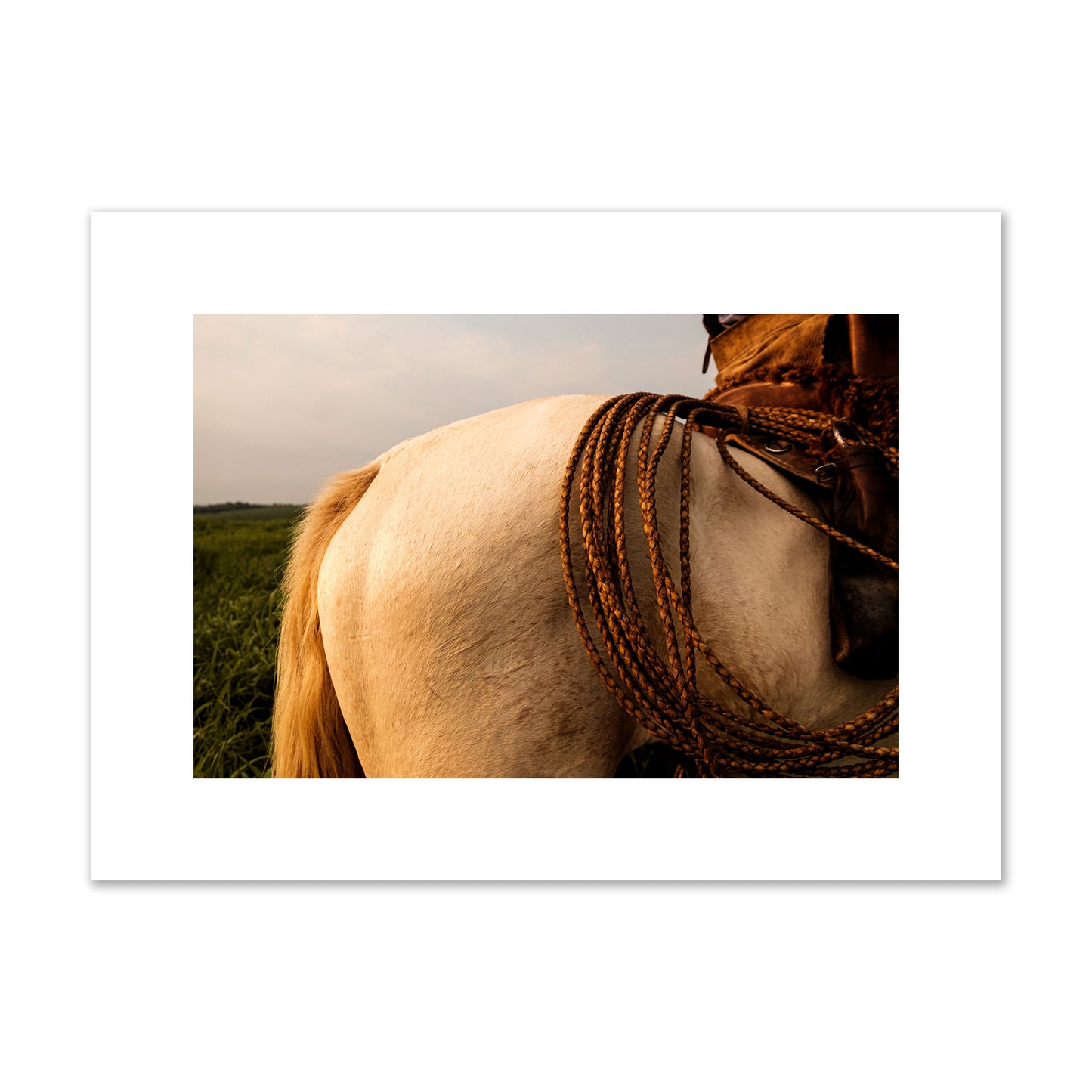 Fine art photo of a cowboy's lasso coiled across a horse's back. Archival pigment print, medium size, print.