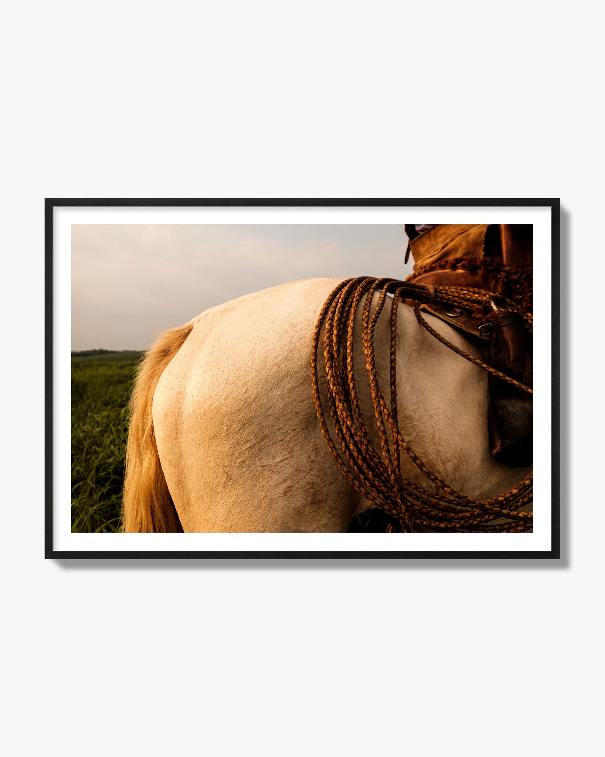 Fine art photo of a cowboy's lasso coiled across a horse's back. Archival pigment print, black frame.
