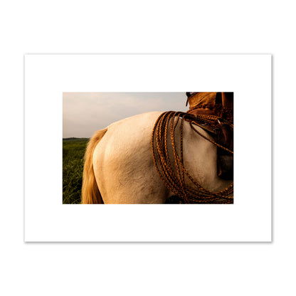 Fine art photo of a cowboy's lasso coiled across a horse's back. Archival pigment print, small size, print.