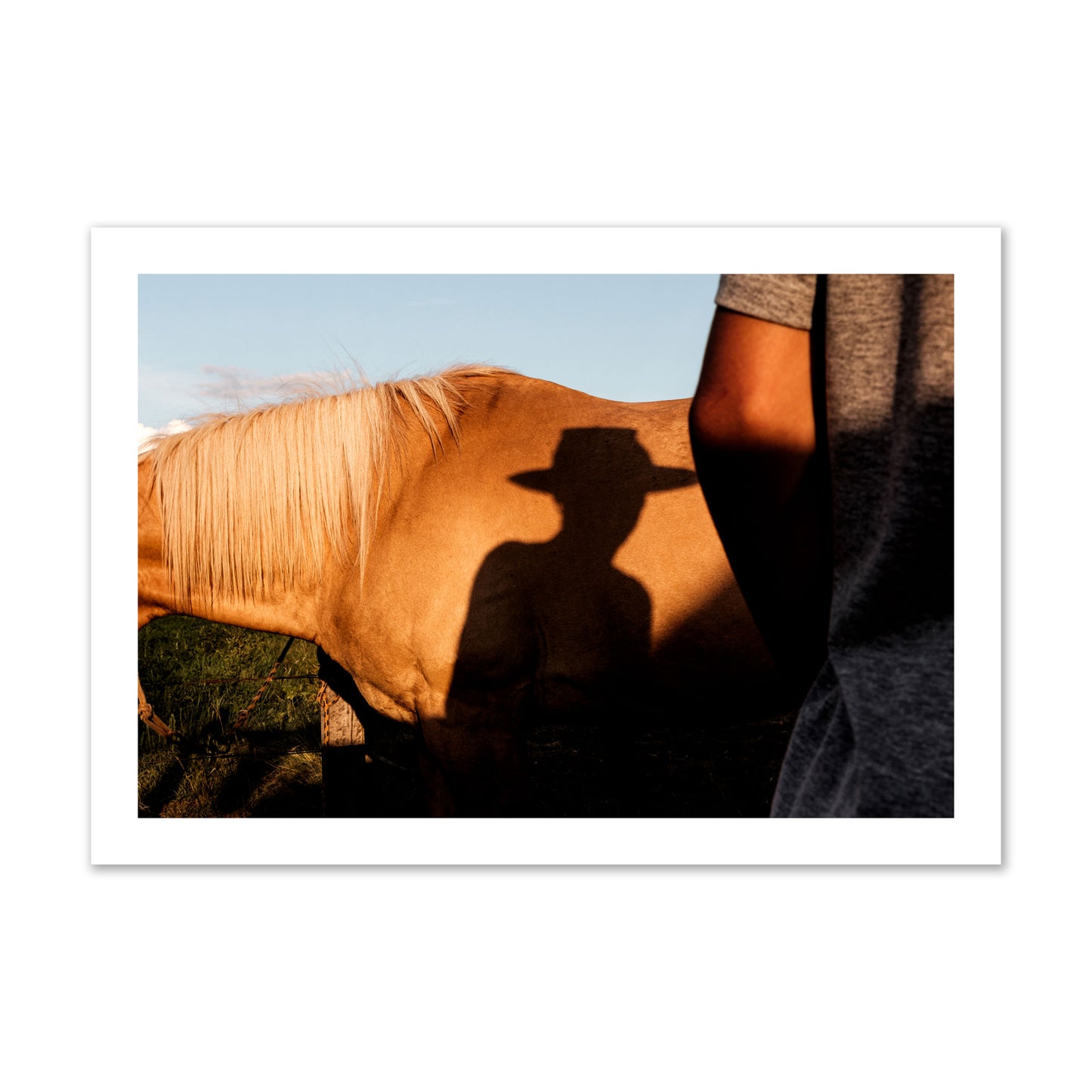 Fine art photo of a cowboy's shadow cast against the side of a horse at sunset. Archival pigment print, collector size, print.