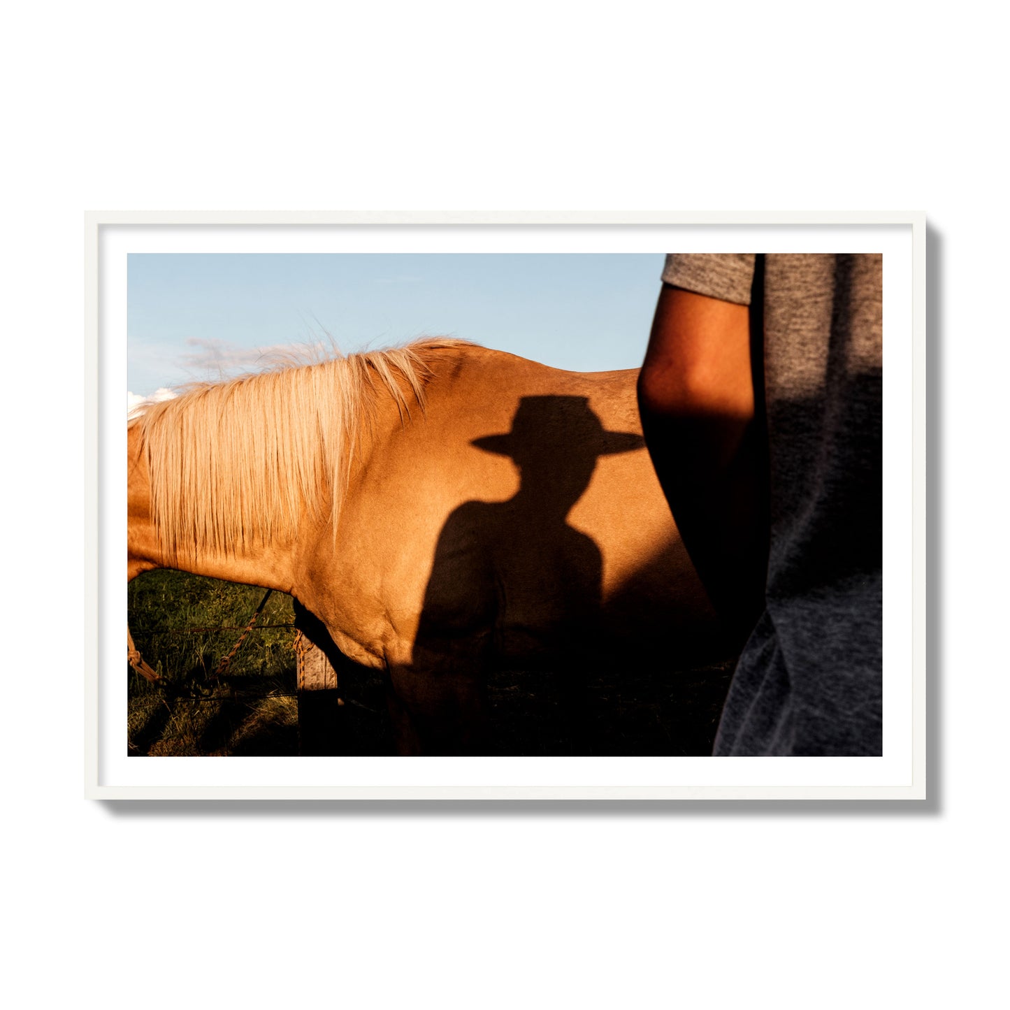 Fine art photo of a cowboy's shadow cast against the side of a horse at sunset. Archival pigment print, collector size, white frame.