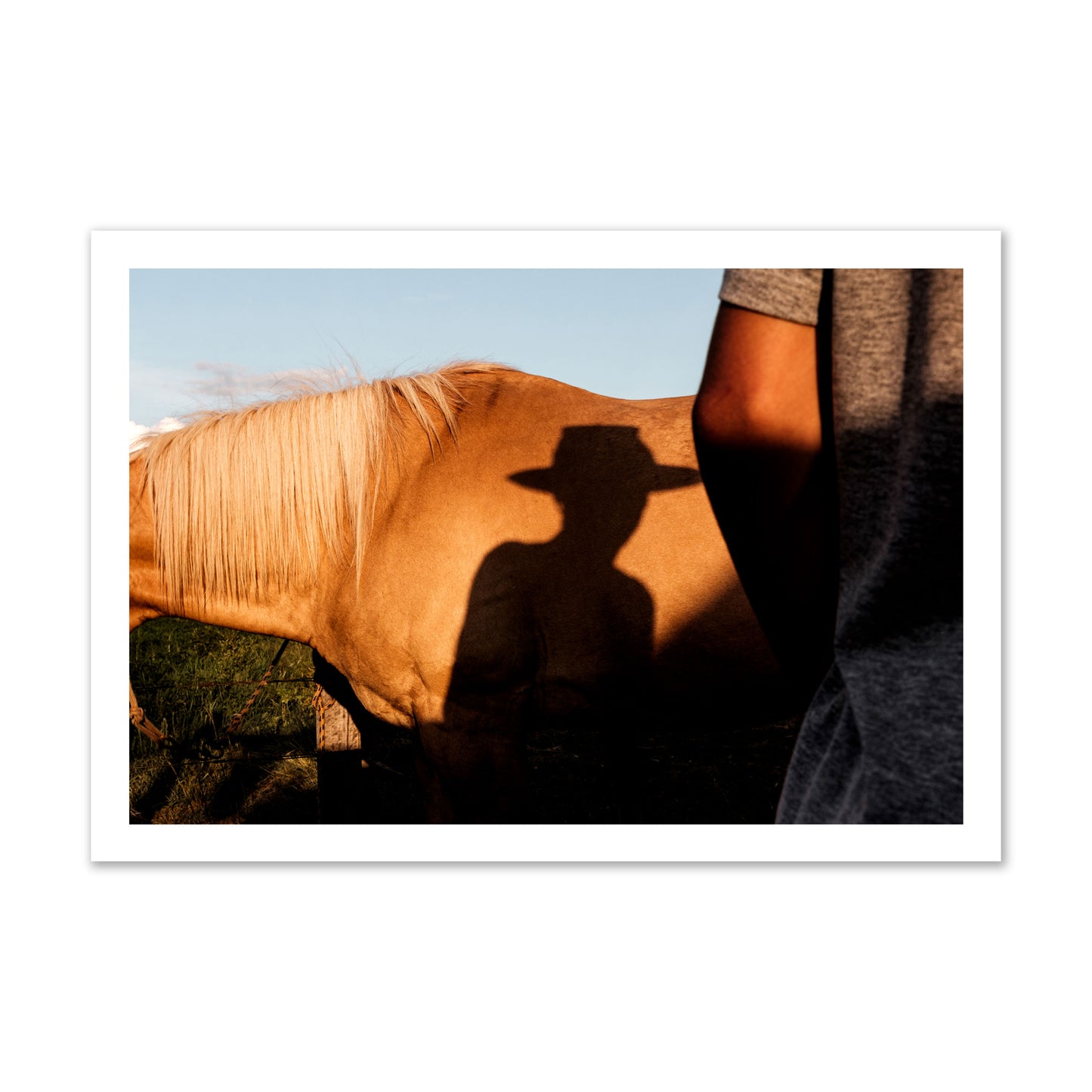 Fine art photo of a cowboy's shadow cast against the side of a horse at sunset. Archival pigment print, gallery size, print.