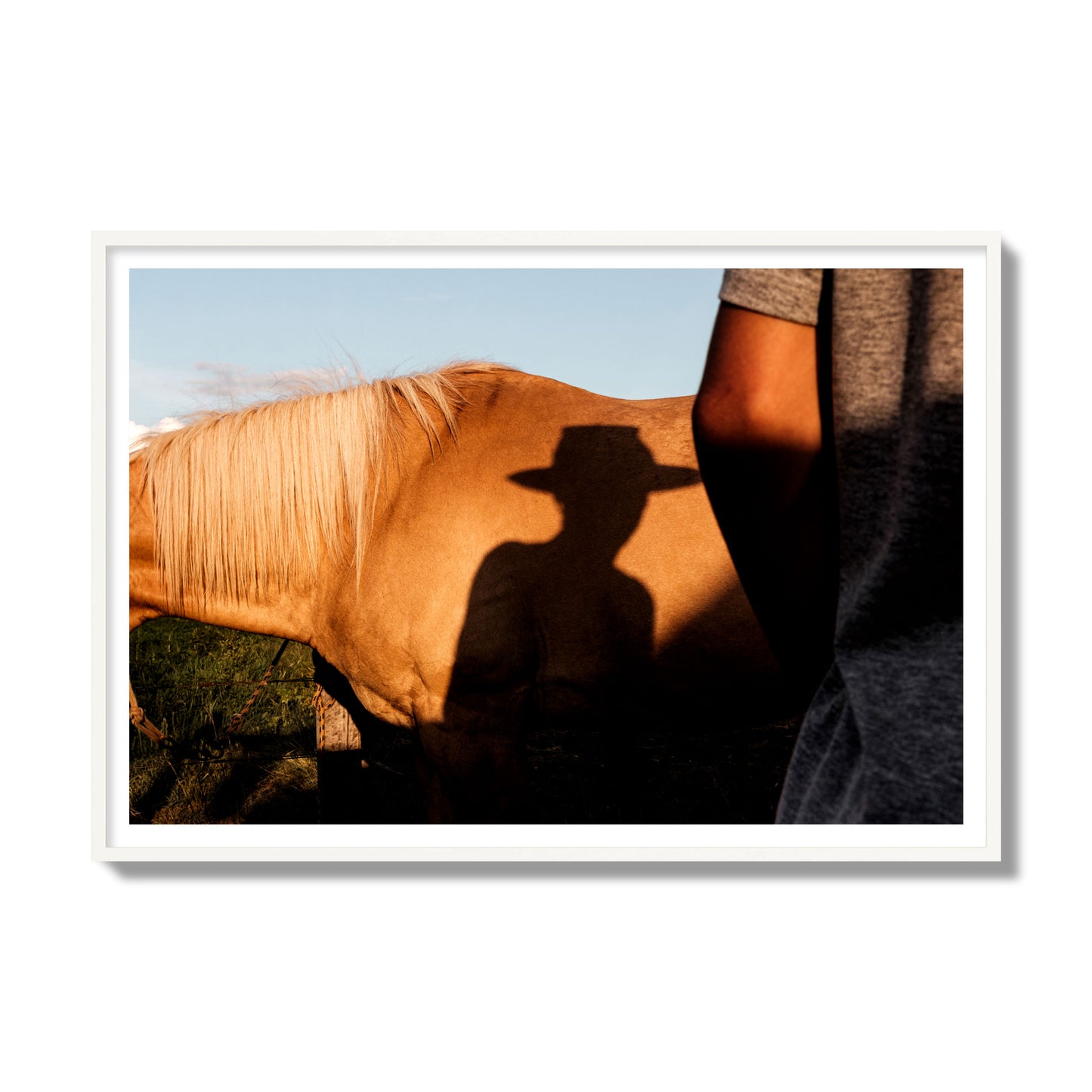 Fine art photo of a cowboy's shadow cast against the side of a horse at sunset. Archival pigment print, gallery size, white frame.