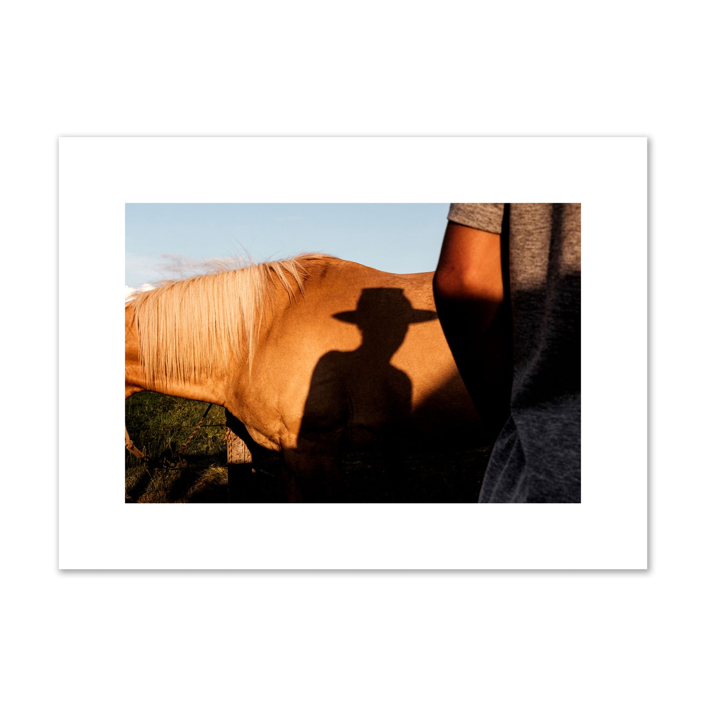 Fine art photo of a cowboy's shadow cast against the side of a horse at sunset. Archival pigment print, medium size, print.