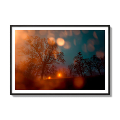 Fine art landscape photograph of a tranquil forest illuminated by orange-red streetlights. Archival pigment print, collector size, black frame.