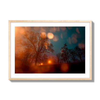 Fine art landscape photograph of a tranquil forest illuminated by orange-red streetlights. Archival pigment print, giant size, natural wood frame.