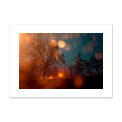Fine art landscape photograph of a tranquil forest illuminated by orange-red streetlights. Archival pigment print, giant size, unframed.