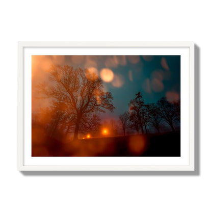 Fine art landscape photograph of a tranquil forest illuminated by orange-red streetlights. Archival pigment print, giant size, white frame.