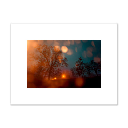 Fine art landscape photograph of a tranquil forest illuminated by orange-red streetlights. Archival pigment print, small size, unframed.