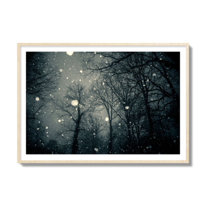 Fine art landscape photograph of a tranquil forest blanketed in falling snow. Archival pigment print, collector size, natural wood frame.