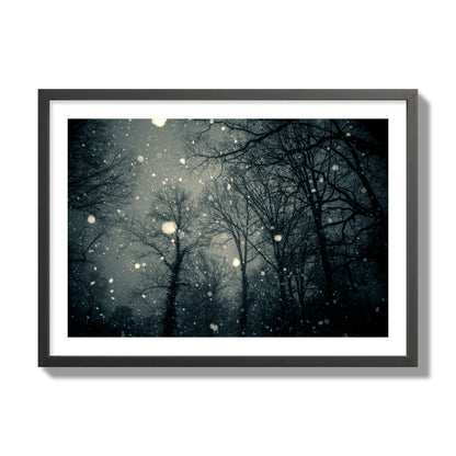 Fine art landscape photograph of a tranquil forest blanketed in falling snow. Archival pigment print, giant size, black frame.