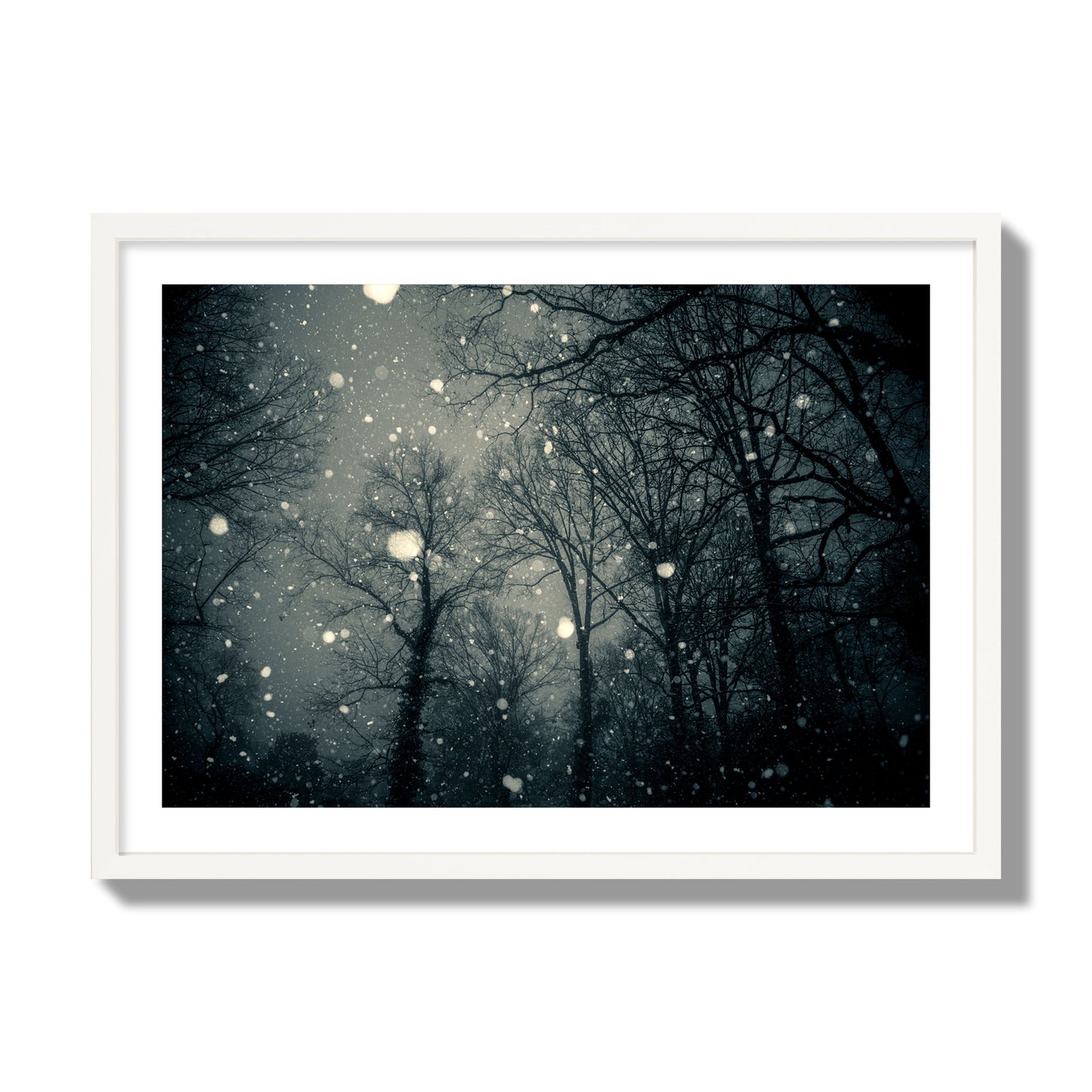 Fine art landscape photograph of a tranquil forest blanketed in falling snow. Archival pigment print, giant size, white frame.