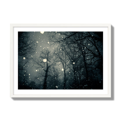 Fine art landscape photograph of a tranquil forest blanketed in falling snow. Archival pigment print, giant size, white frame.