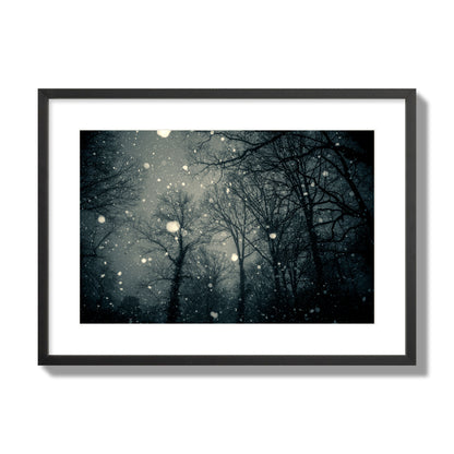 Fine art landscape photograph of a tranquil forest blanketed in falling snow. Archival pigment print, large size, black frame.