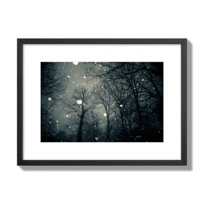 Fine art landscape photograph of a tranquil forest blanketed in falling snow. Archival pigment print, medium size, black frame.