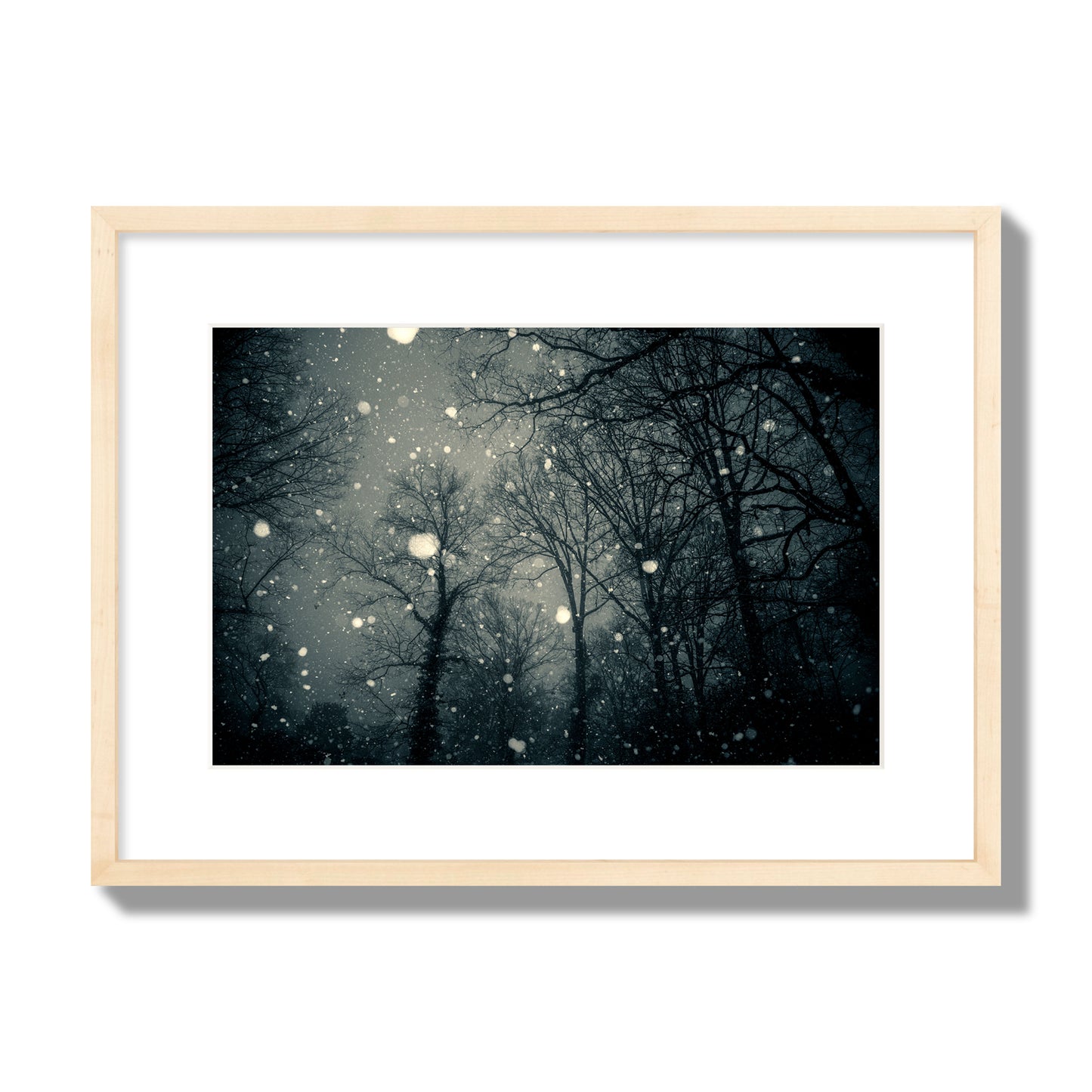 Fine art landscape photograph of a tranquil forest blanketed in falling snow. Archival pigment print, medium size, natural wood frame.