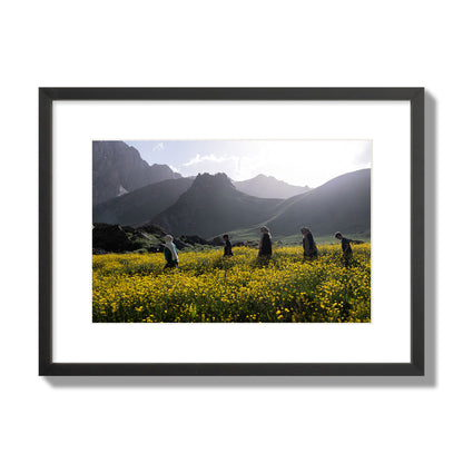 Fine art photograph of people walking through a field of yellow flowers with mountains in the background, archival pigment print, medium size, black frame.