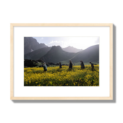 Fine art photograph of people walking through a field of yellow flowers with mountains in the background, archival pigment print, medium size, natural wood frame.