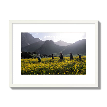 Fine art photograph of people walking through a field of yellow flowers with mountains in the background, archival pigment print, medium size, white frame.
