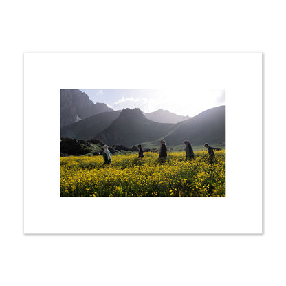 Fine art photograph of people walking through a field of yellow flowers with mountains in the background, archival pigment print, small size, unframed.