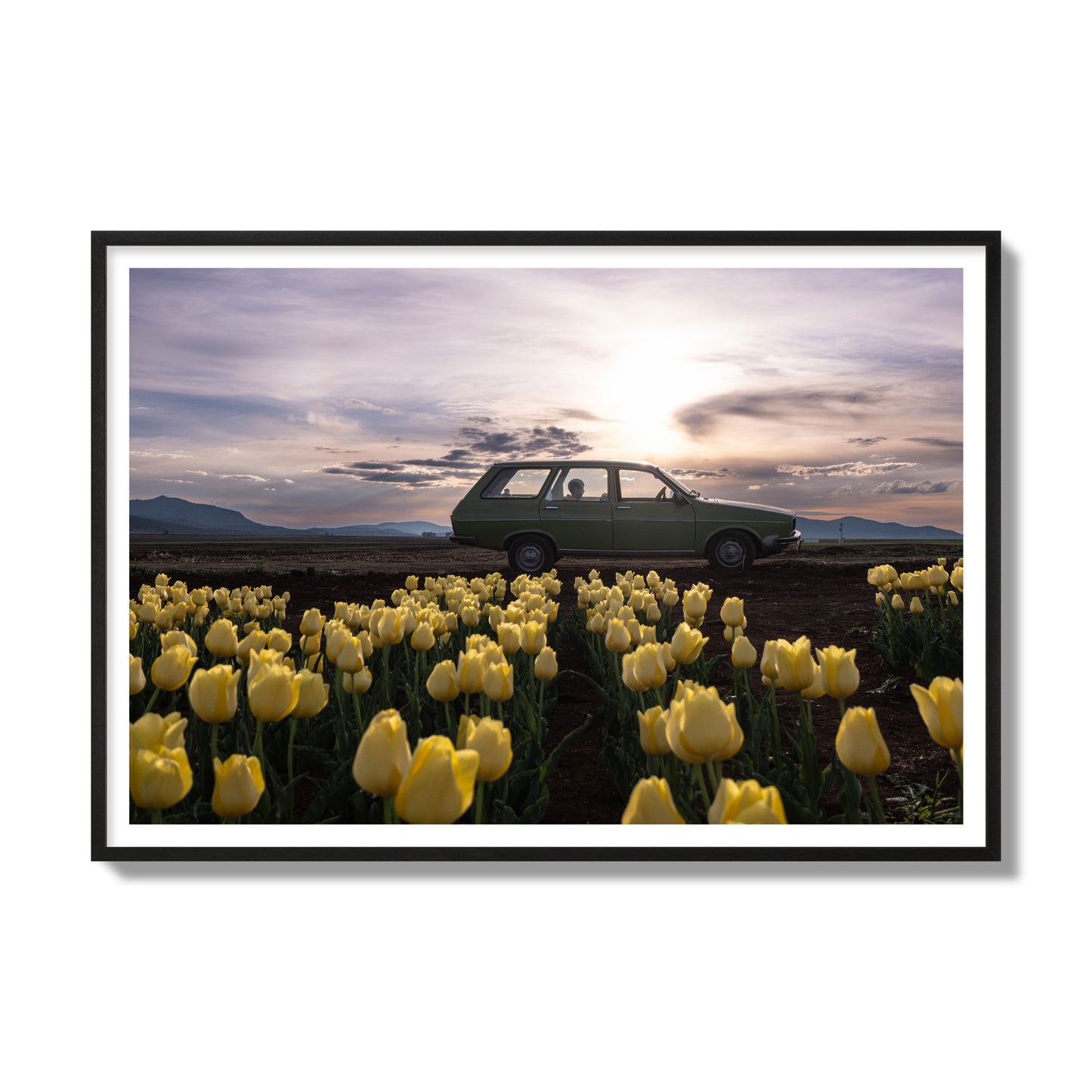 Fine art photograph of a car in a field of yellow tulips with a sunset sky, archival pigment print, gallery size, black frame.