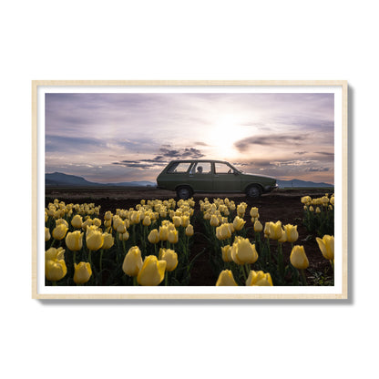 Fine art photograph of a car in a field of yellow tulips with a sunset sky, archival pigment print, gallery size, natural wood frame.