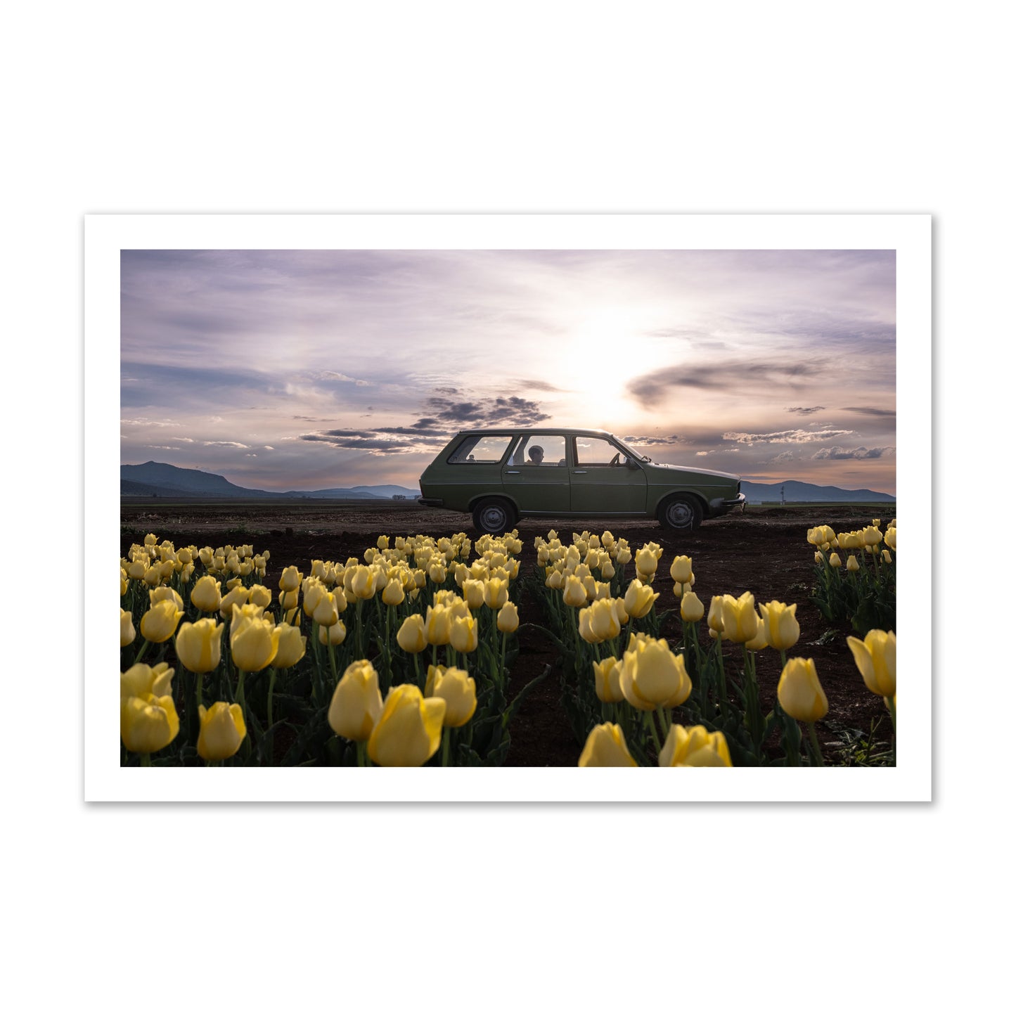 Fine art photograph of a car in a field of yellow tulips with a sunset sky, archival pigment print, gallery size, unframed.