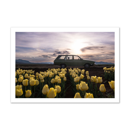Fine art photograph of a car in a field of yellow tulips with a sunset sky, archival pigment print, gallery size, unframed.