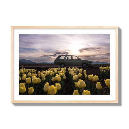 Fine art photograph of a car in a field of yellow tulips with a sunset sky, archival pigment print, giant size, natural wood frame.