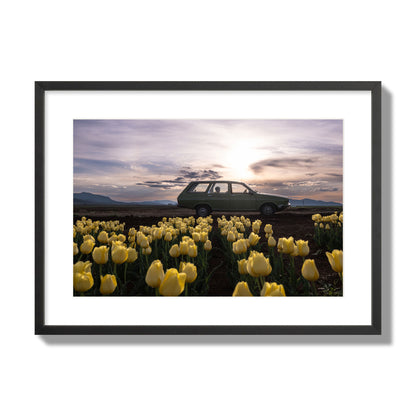 Fine art photograph of a car in a field of yellow tulips with a sunset sky, archival pigment print, large size, black frame.