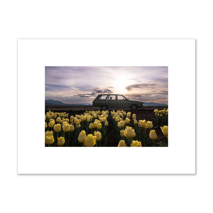Fine art photograph of a car in a field of yellow tulips with a sunset sky, archival pigment print, small size, unframed.