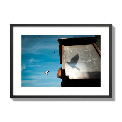 Fine art street photograph of a man watching a bird fly away in the background, with the bird’s shadow cast across a birdcage in the foreground. Archival pigment print, large size, black frame.