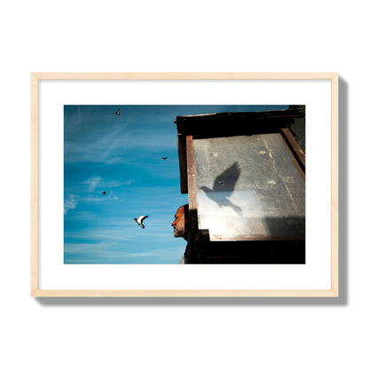 Fine art street photograph of a man watching a bird fly away in the background, with the bird’s shadow cast across a birdcage in the foreground. Archival pigment print, large size, natural wood frame.