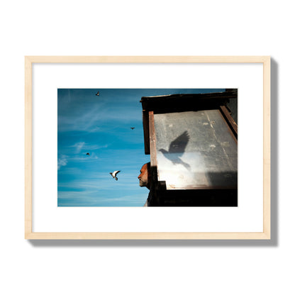 Fine art street photograph of a man watching a bird fly away in the background, with the bird’s shadow cast across a birdcage in the foreground. Archival pigment print, medium size, natural wood frame.