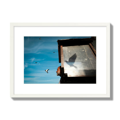 Fine art street photograph of a man watching a bird fly away in the background, with the bird’s shadow cast across a birdcage in the foreground. Archival pigment print, medium size, white frame.