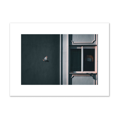 Fine art street photograph of a woman highlighted in a window on the right side of the frame, while a bird flies out of frame on the left. Archival pigment print, medium size, unframed.