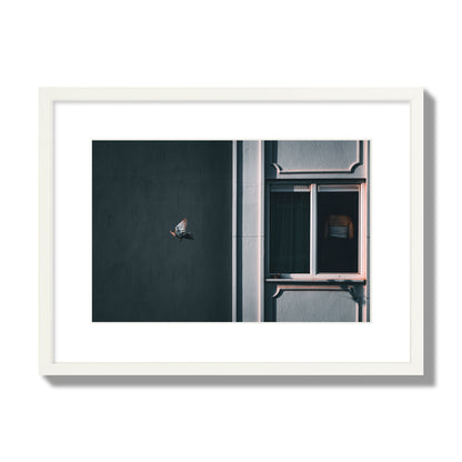 Fine art street photograph of a woman highlighted in a window on the right side of the frame, while a bird flies out of frame on the left. Archival pigment print, medium size, white frame.
