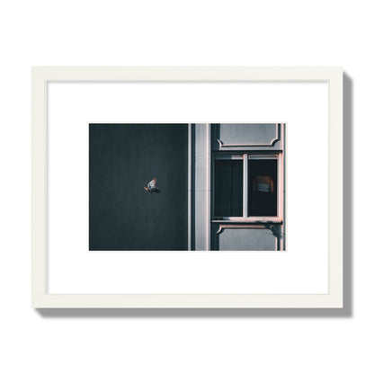 Fine art street photograph of a woman highlighted in a window on the right side of the frame, while a bird flies out of frame on the left. Archival pigment print, small size, white frame.